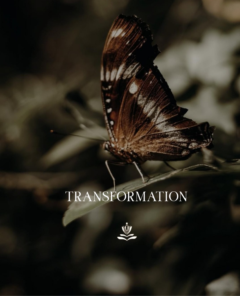 Formule Transformation